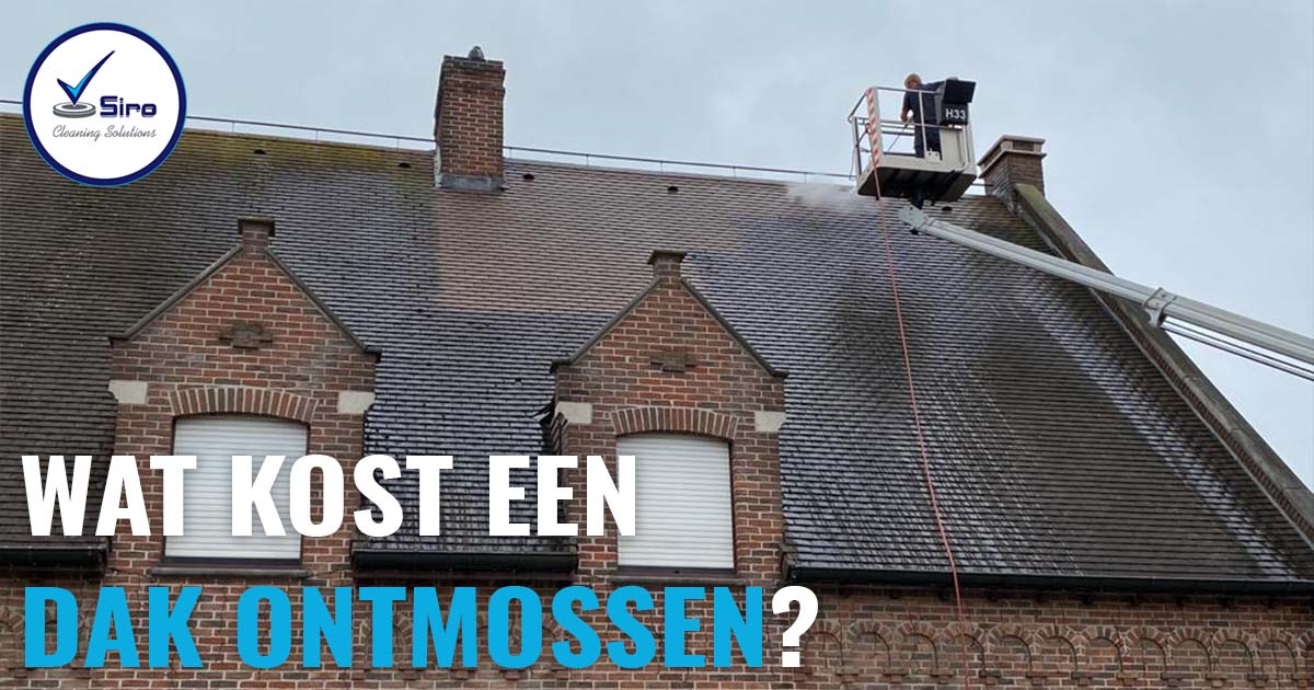 Wat kost een dak ontmossen?